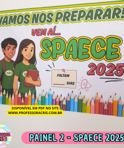 Painel 2 - SPAECE 2025