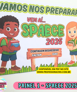 Painel 1 - SPAECE 2025