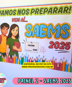 Painel 2 - SAEMS 2025
