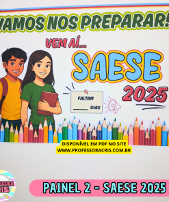 Painel 2 - SAESE 2025