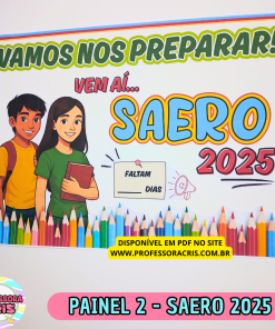 Painel 2 - SAERO 2025