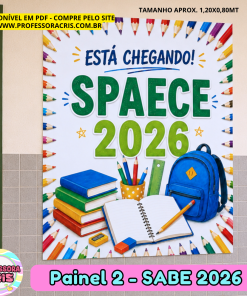 Painel 2 SPAECE 2026 para avaliação SPAECE