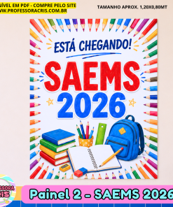 Painel 2 SAEMS 2026